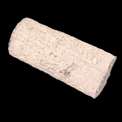 Chèvre buche cendré