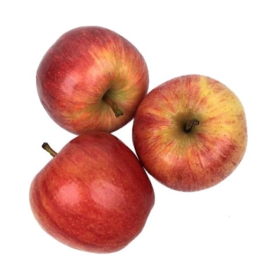 Pomme Gala