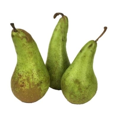 Poire Conférence