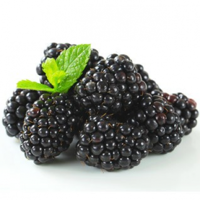 Mûres (barquette 125gr)