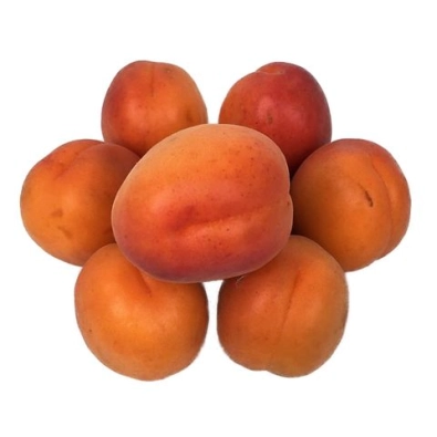 Abricot