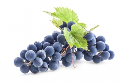 Raisin noir Muscat