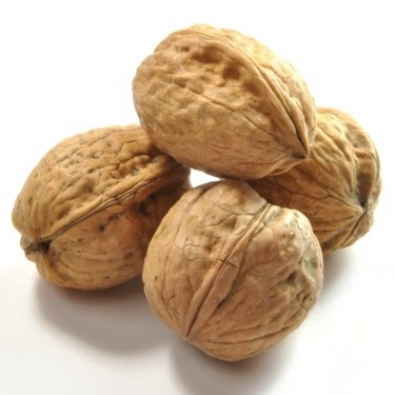 Noix sèches AOP France (filet 1kg)