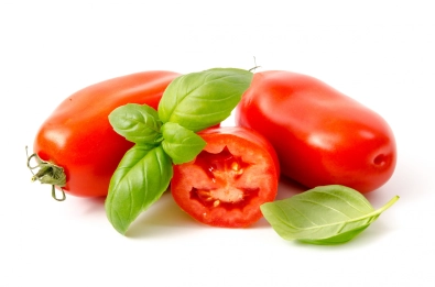 Tomate allongée