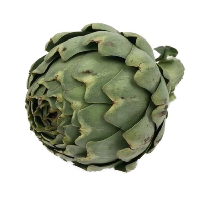 Artichaut