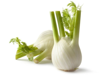 Fenouil