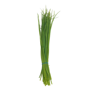 Ciboulette (botte)