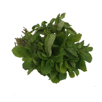Menthe botte