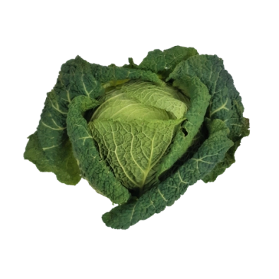 Chou vert frisé