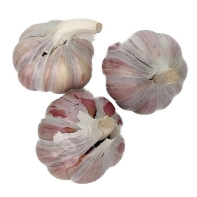 Ail blanc sec