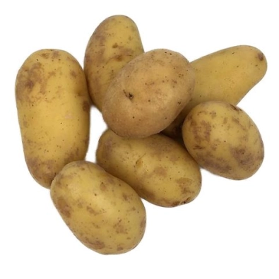 Pomme de terre - Frites