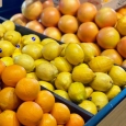 Fruits